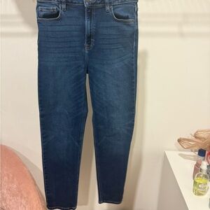 Carly Jean Los AngelesJeans in Dark Blue